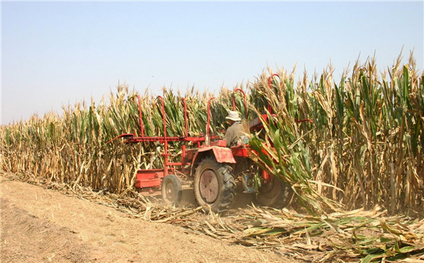 生物質顆粒機設備成型燃料研究現狀及進展 生物質顆粒機設備成型燃料研究現狀及進展