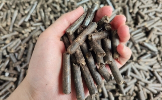 生物質顆粒燃料公司前景怎么樣，木屑顆粒機的顆粒燃料賣給誰的？