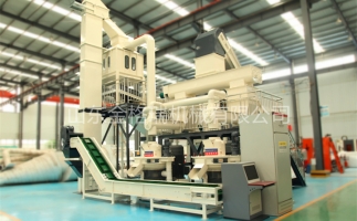 辦木屑顆粒燃料廠需要準備哪些工作？山東顆粒機廠家和您說說