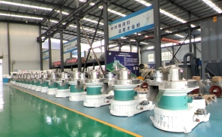 新手開顆粒廠，該選小型還是大型木屑顆粒機？